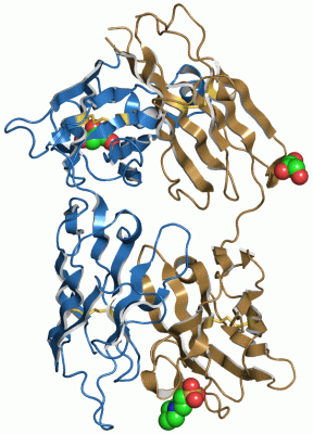 Image Asym./Biol. Unit - manually