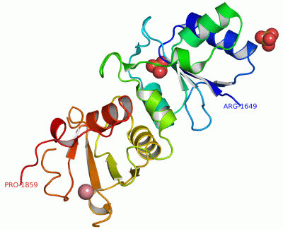 Image Asym./Biol. Unit - manually