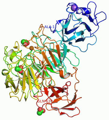 Image Asym./Biol. Unit - manually