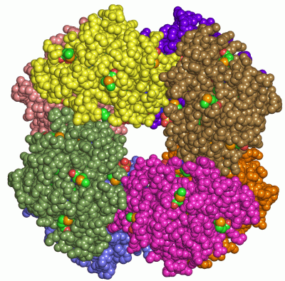 Image Asym./Biol. Unit - manually