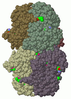 Image Biol.Unit 1 - manually