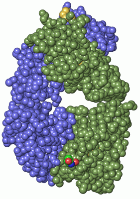 Image Asym./Biol. Unit - manually