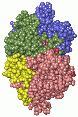 Image Asym./Biol. Unit - manually