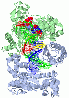 Image Biol.Unit 1 - manually