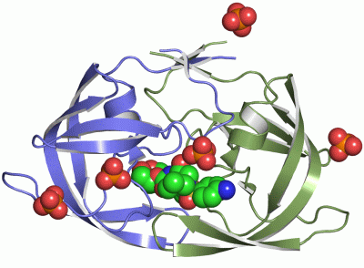 Image Asym./Biol. Unit - manually