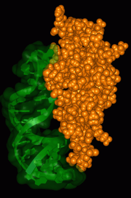 Image NMR Structure - manually