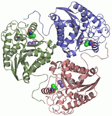 Image Asym./Biol. Unit - manually