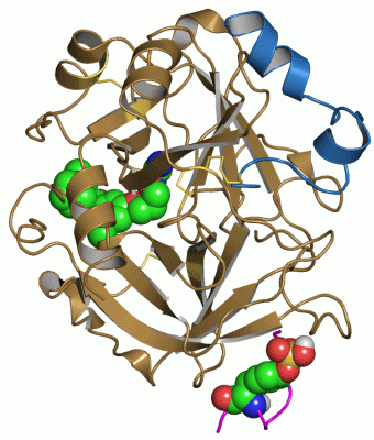 Image Asym./Biol. Unit - manually