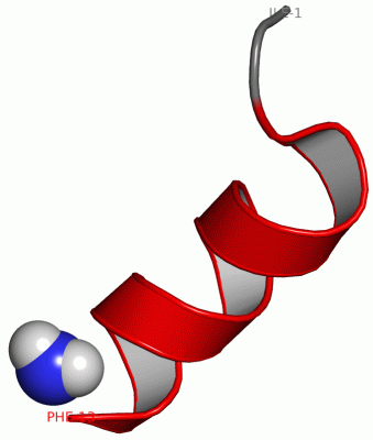 Image NMR Structure - manually