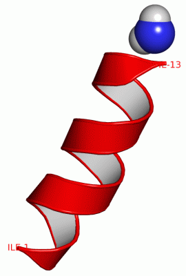 Image NMR Structure - manually