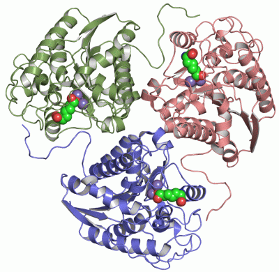 Image Asym./Biol. Unit - manually