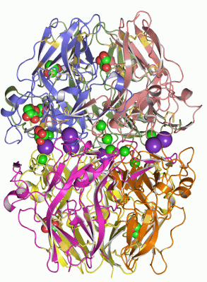 Image Asym./Biol. Unit - manually