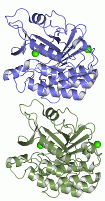 Image Asym./Biol. Unit - manually