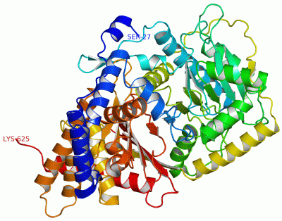 Image Asym./Biol. Unit - manually