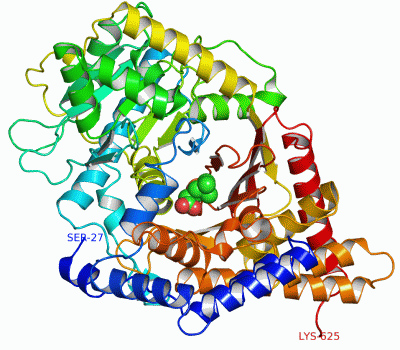 Image Asym./Biol. Unit - manually