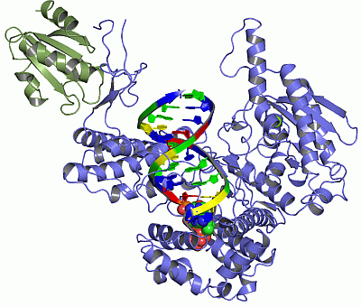 Image Asym./Biol. Unit - manually