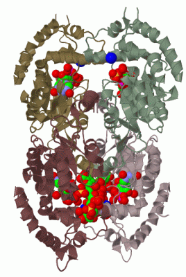 Image Biol.Unit 2 - manually