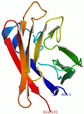 Image NMR Structure - manually