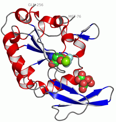 Image Asym./Biol. Unit - manually