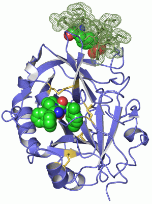 Image Asym./Biol. Unit - manually