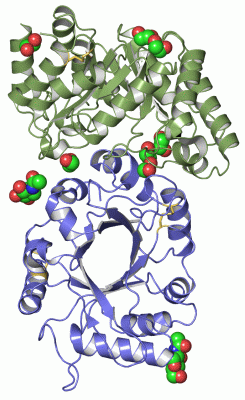 Image Asym./Biol. Unit - manually