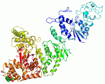 Image Asym./Biol. Unit - manually