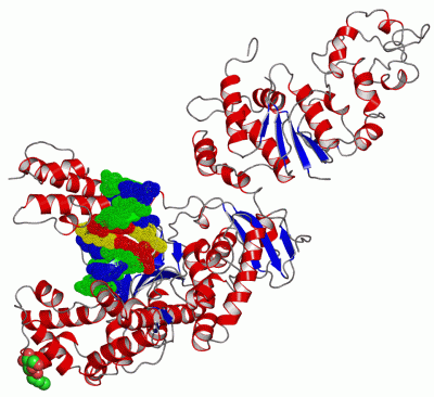 Image Asym./Biol. Unit - manually