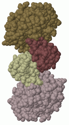 Image Biol.Unit 1 - manually