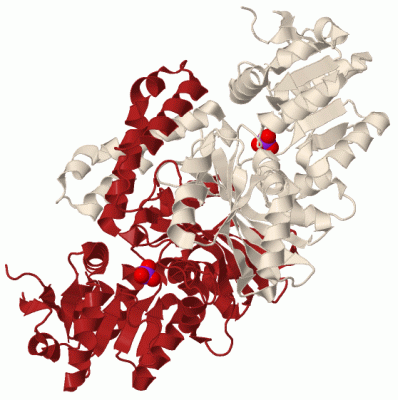 Image Biol.Unit 1 - manually