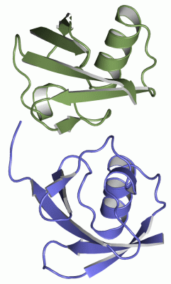 Image Asym./Biol. Unit - manually