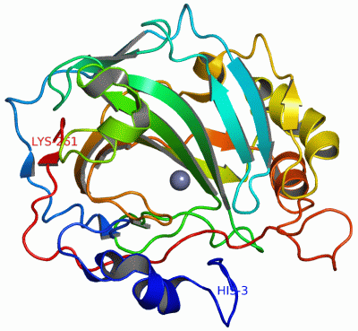 Image Asym./Biol. Unit - manually