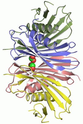 Image Asym./Biol. Unit - manually