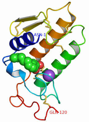 Image Asym./Biol. Unit - manually