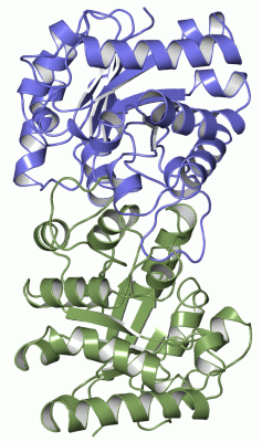 Image Asym./Biol. Unit - manually