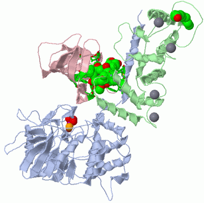 Image Asym./Biol. Unit - manually