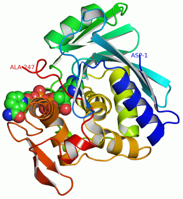 Image Asym./Biol. Unit - manually