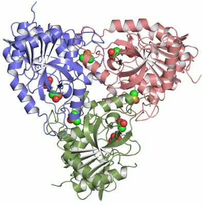 Image Asym./Biol. Unit - manually