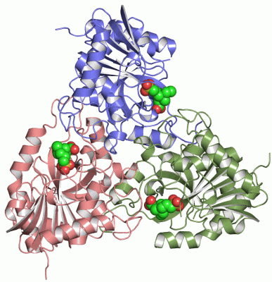 Image Asym./Biol. Unit - manually