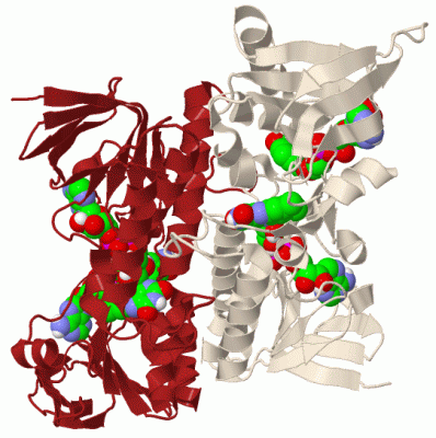 Image Biol.Unit 1 - manually