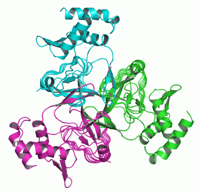 Image Asym./Biol. Unit - manually