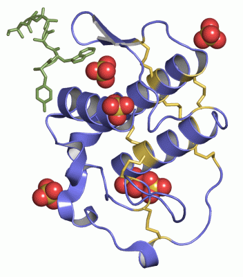 Image Asym./Biol. Unit - manually