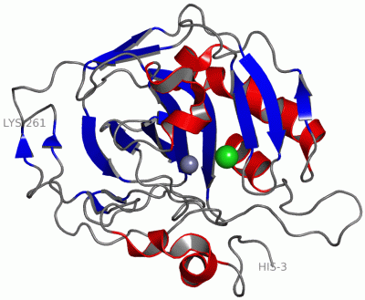 Image Asym./Biol. Unit - manually