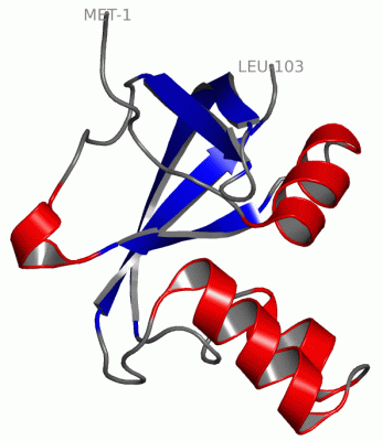 Image NMR Structure - manually