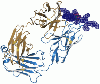 Image Asym./Biol. Unit - manually