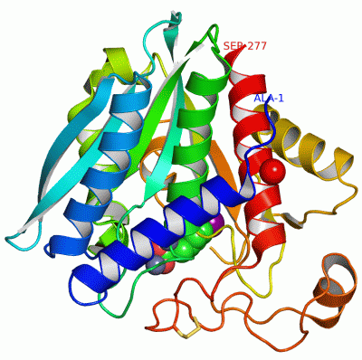 Image Asym./Biol. Unit - manually