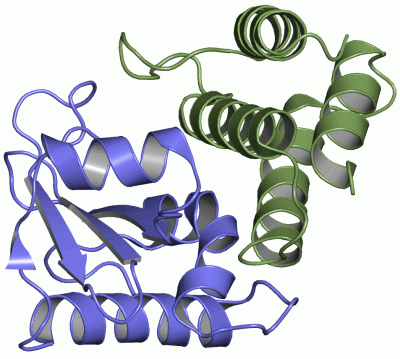 Image Asym./Biol. Unit - manually