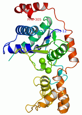 Image Asym./Biol. Unit - manually