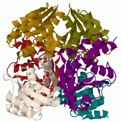 Image Biol.Unit 1 - manually