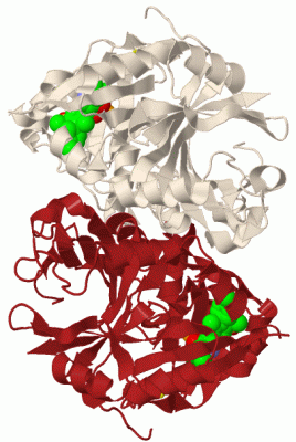 Image Biol.Unit 1 - manually