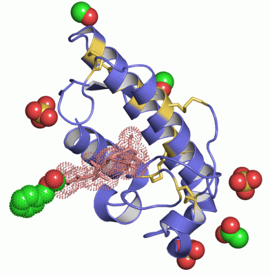 Image Asym./Biol. Unit - manually